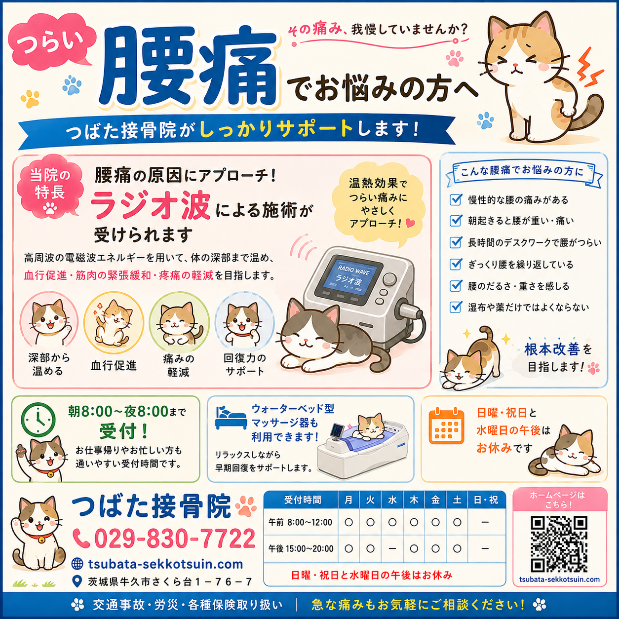 腰痛　cat